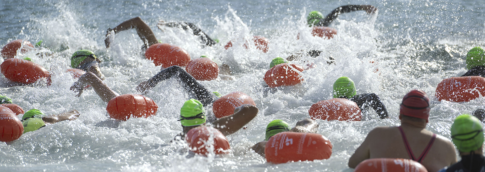 swim race